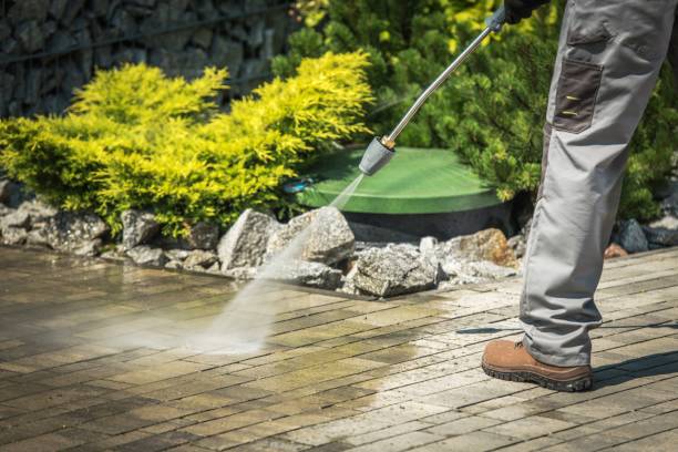 Pre-Holiday Cleaning in Arden On The Severn, MD